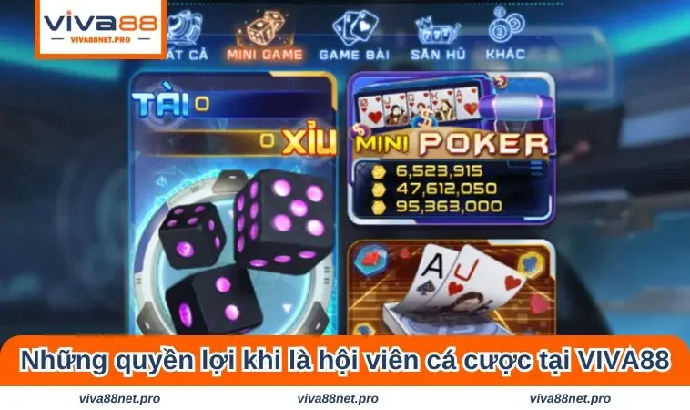 Những quyền lợi khi là hội viên cá cược tại VIVA88